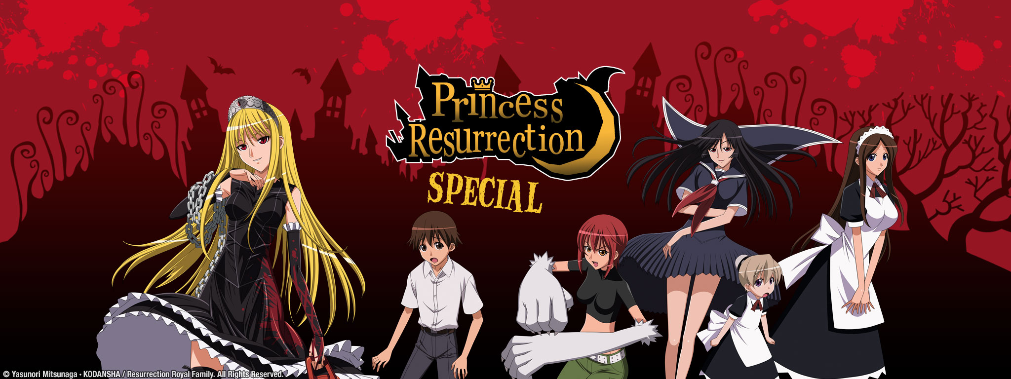 Title Art for Princess Resurrection - OVA