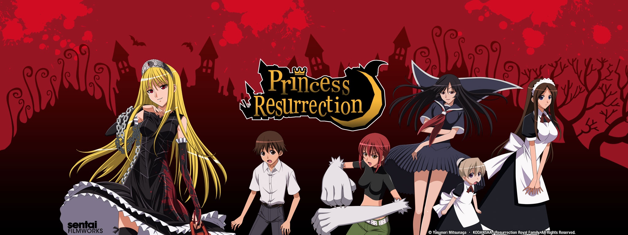 Title Art for Princess Resurrection
