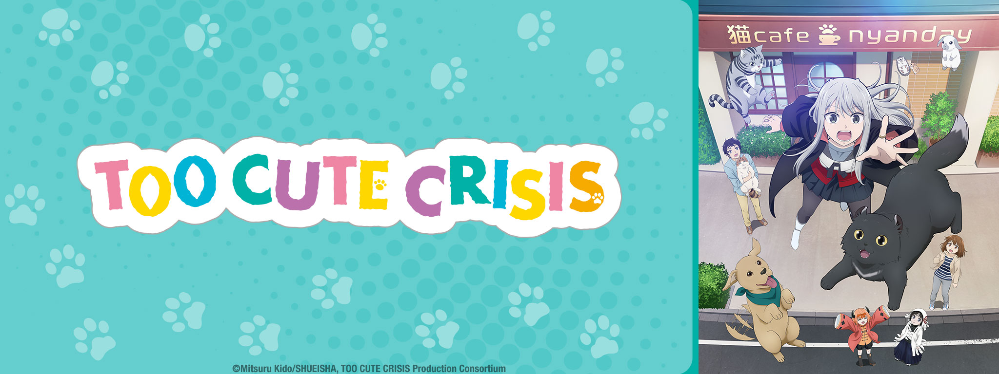 Too Cute Crisis